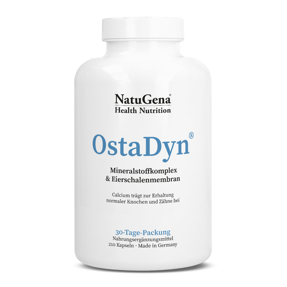 OstaDyn