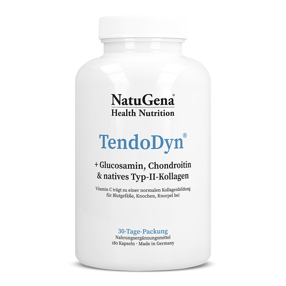 TendoDyn