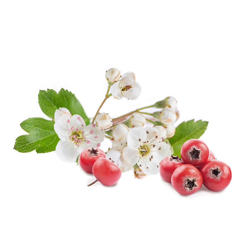 HeartHappiness®