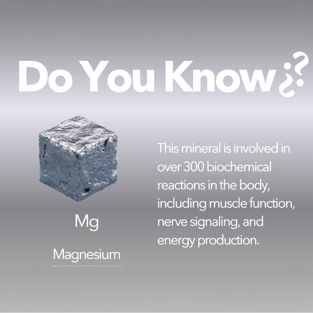 Understanding Magnesium Supplements