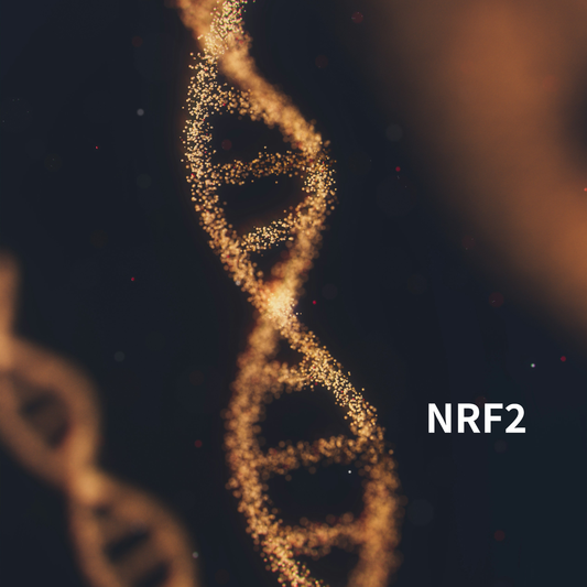 Do You Know about NRF2?