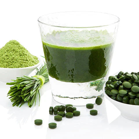 Algae & Vital Mushrooms
