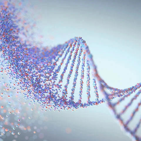 Epigenetics