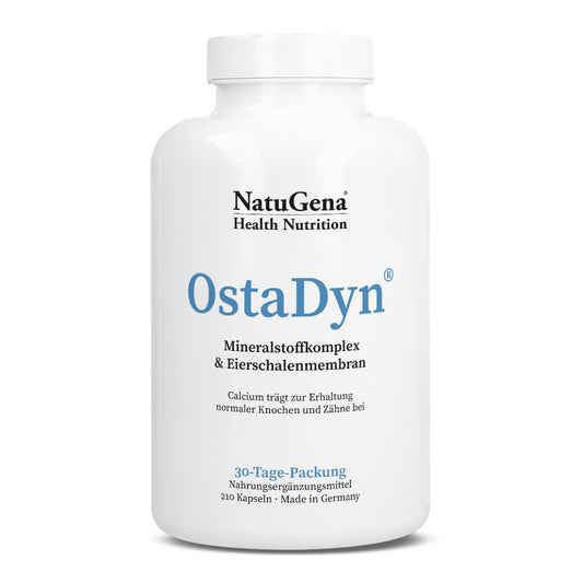 OstaDyn