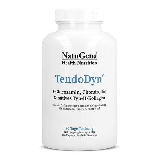TendoDyn
